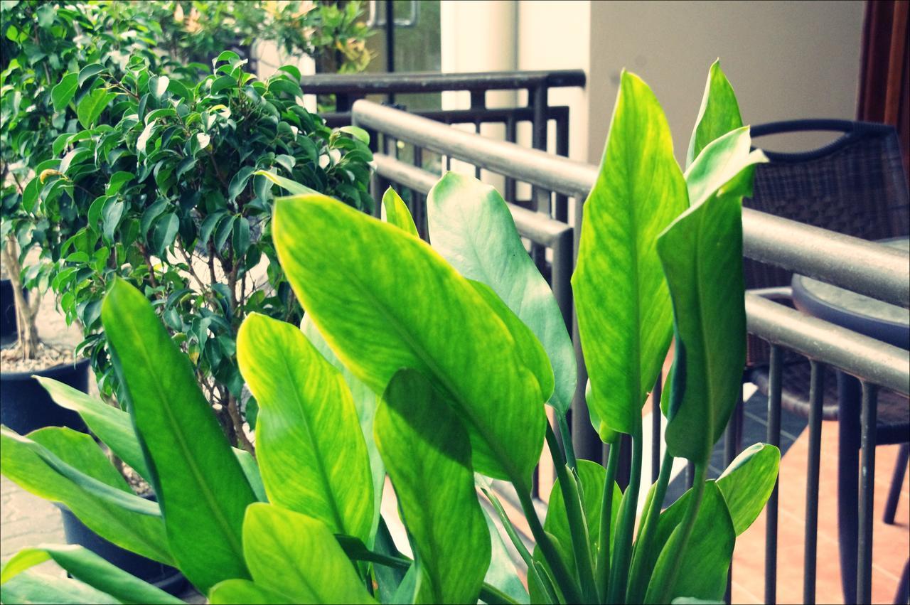 Citi Serviced Apartments & Motel - Lagatoi Place Port Moresby Eksteriør bilde