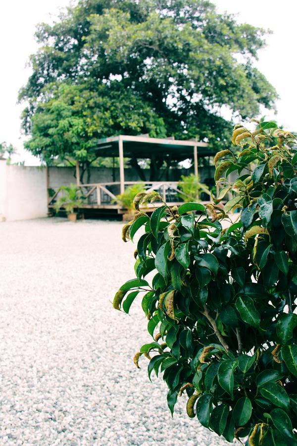 Citi Serviced Apartments & Motel - Lagatoi Place Port Moresby Eksteriør bilde