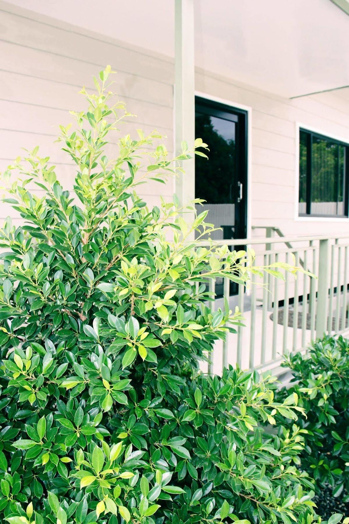 Citi Serviced Apartments & Motel - Lagatoi Place Port Moresby Eksteriør bilde